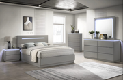 Modern Design Grey Finish Bedroom Set - 2400